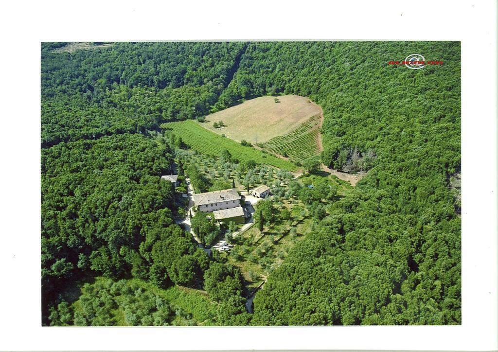 Вилла Agriturismo Biologico Ebbio Монтериджиони Экстерьер фото